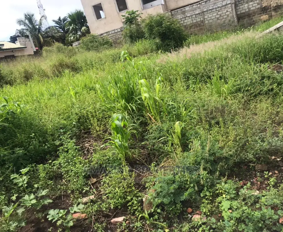 20 Acres of Land at West Trasacco in Adjiriganor