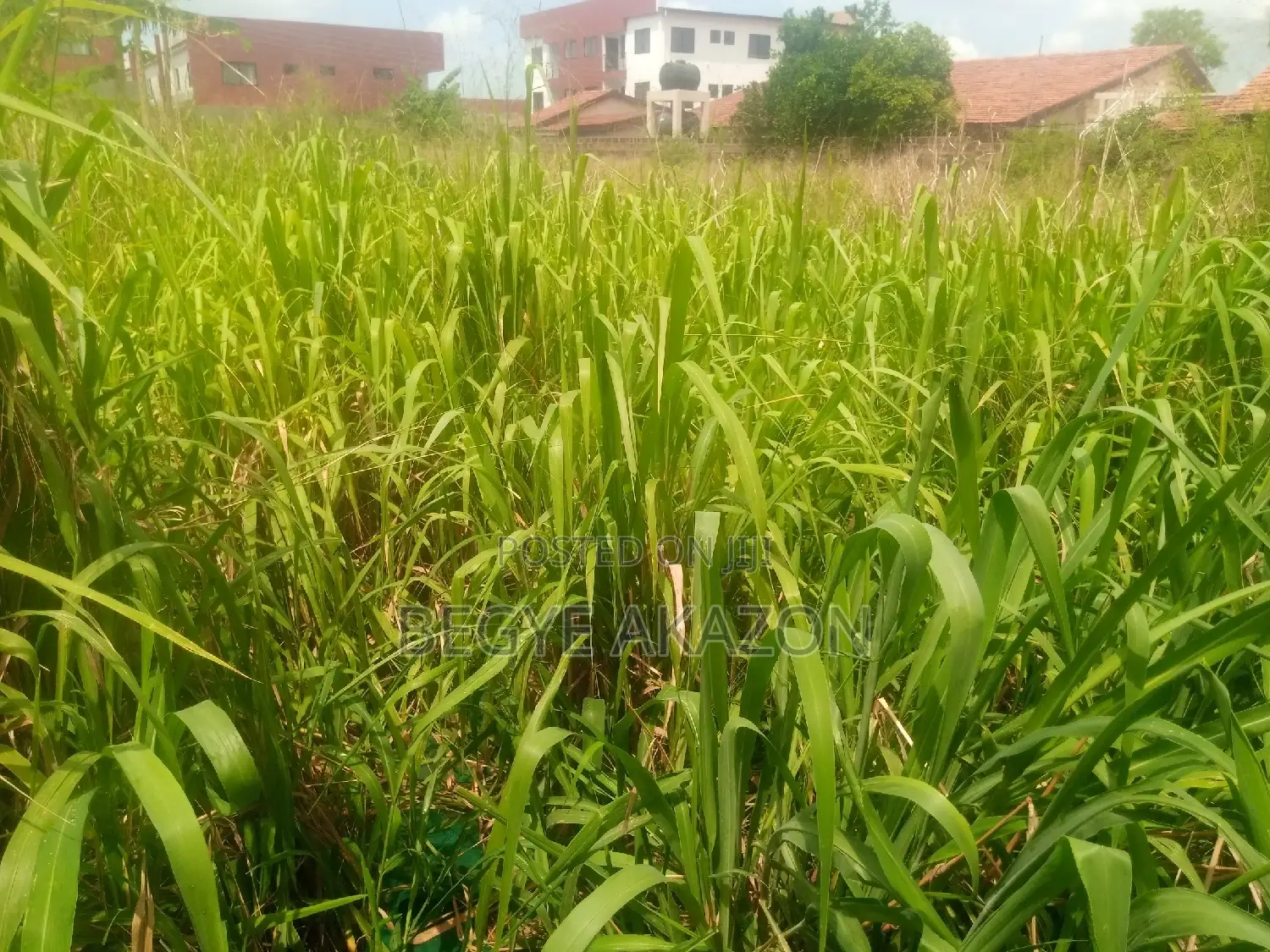 2 Plots of Land for Sale at Ogbodjo in East Legon