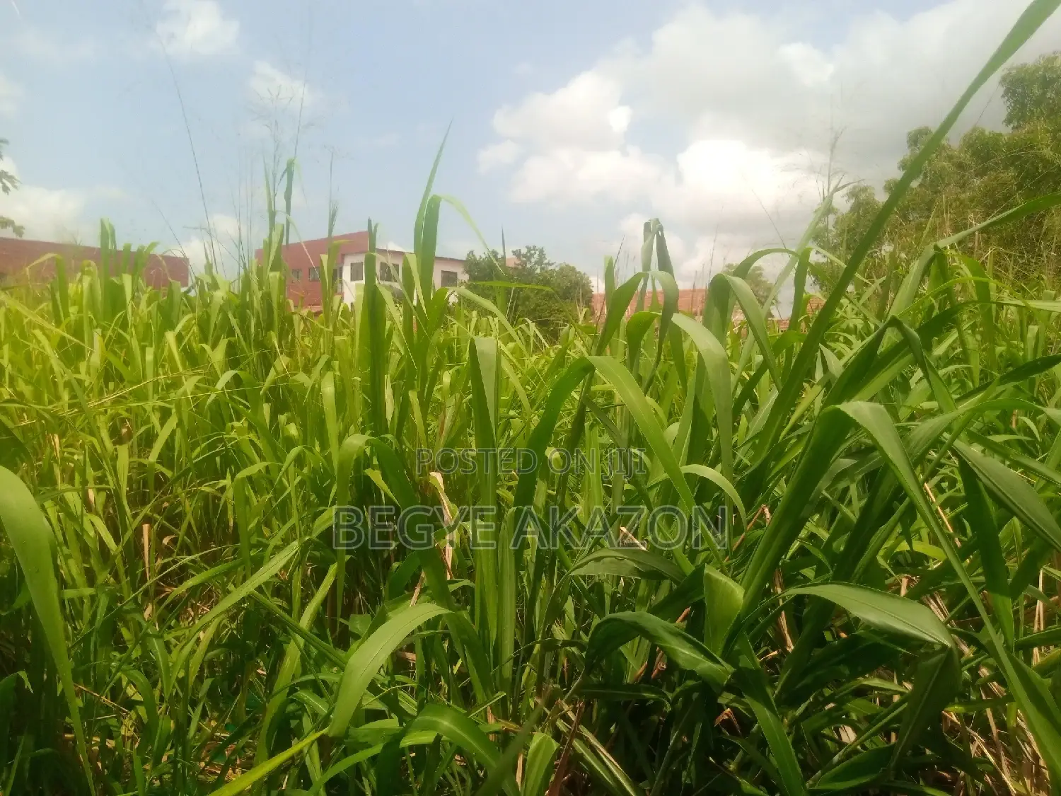 2 Plots of Land for Sale at Ogbodjo in East Legon