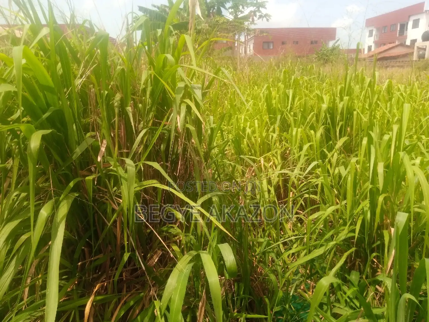 2 Plots of Land for Sale at Ogbodjo in East Legon