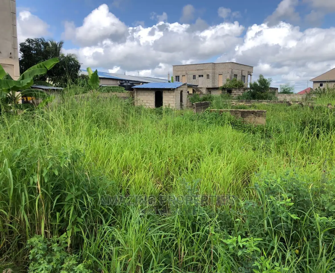 Tema Community, 6. in Tema Metropolitan