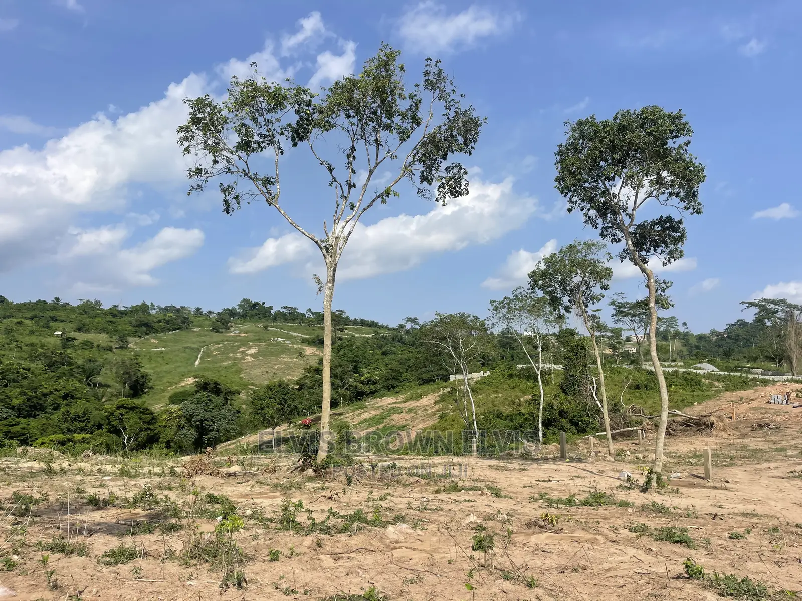 A Genuine Plots of Land for Sale at Abrui in Akuapim South