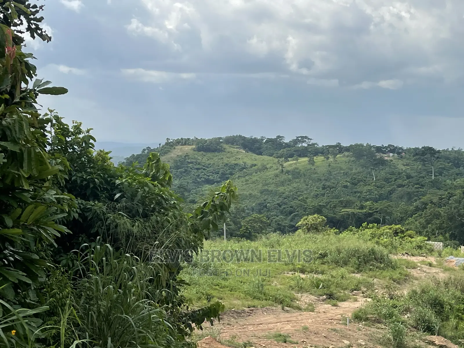 Genuine Plot of Land for Sale at Abrui in Akuapim South