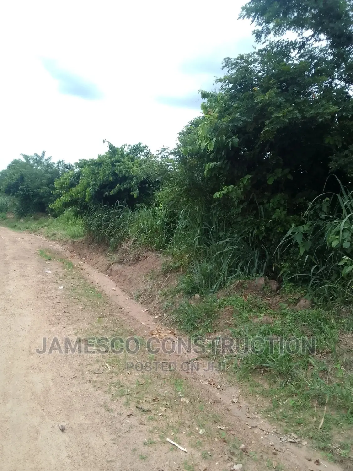 Farmland for Sale in Ayensuano
