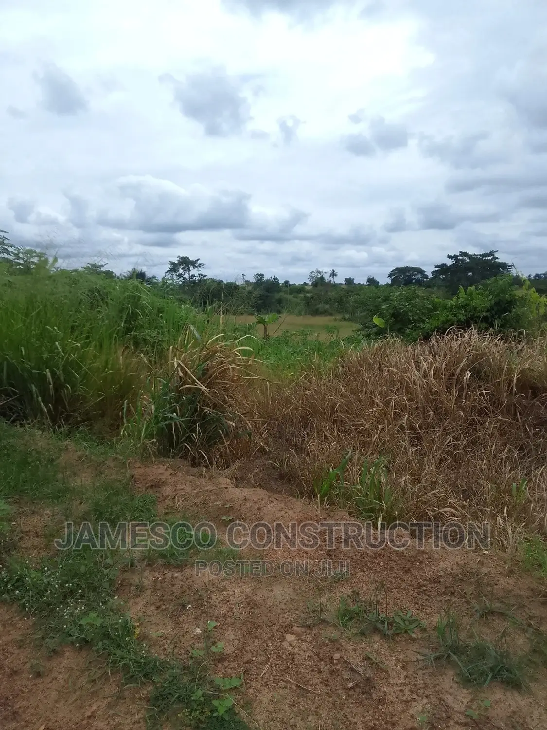 Farmland for Sale in Ayensuano