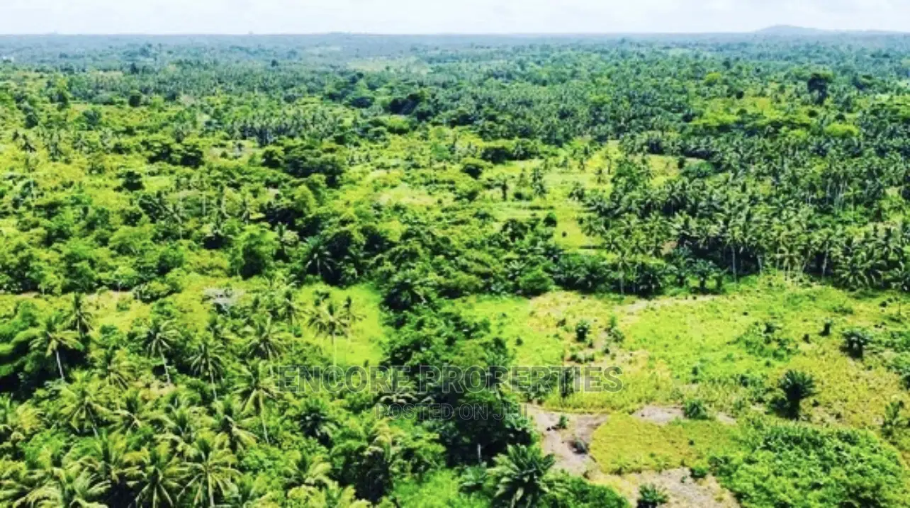 100,000 + Acres Farm Land Now Selling in Kintampo South
