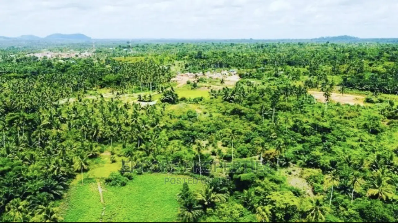 100,000 + Acres Farm Land Now Selling in Kintampo South