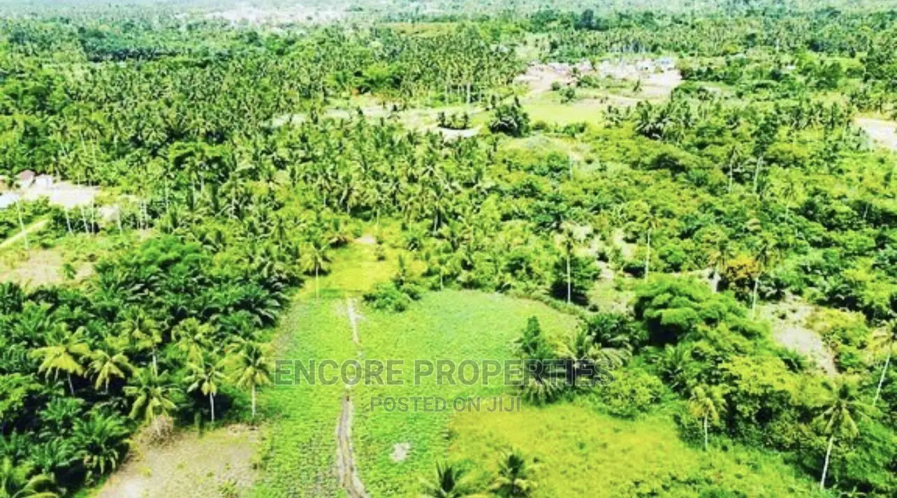 100,000 + Acres Farm Land Now Selling in Kintampo South