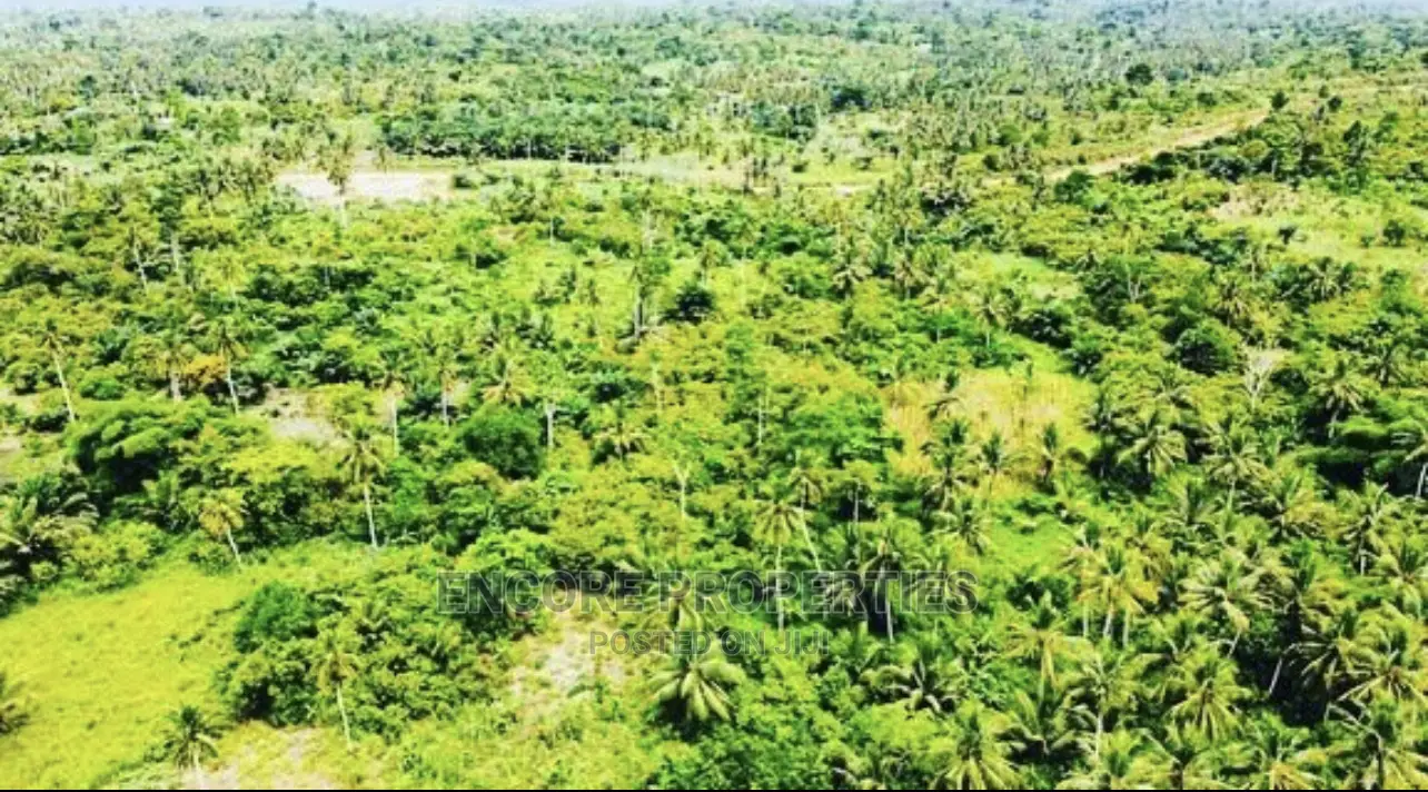 100,000 + Acres Farm Land Now Selling in Kintampo South