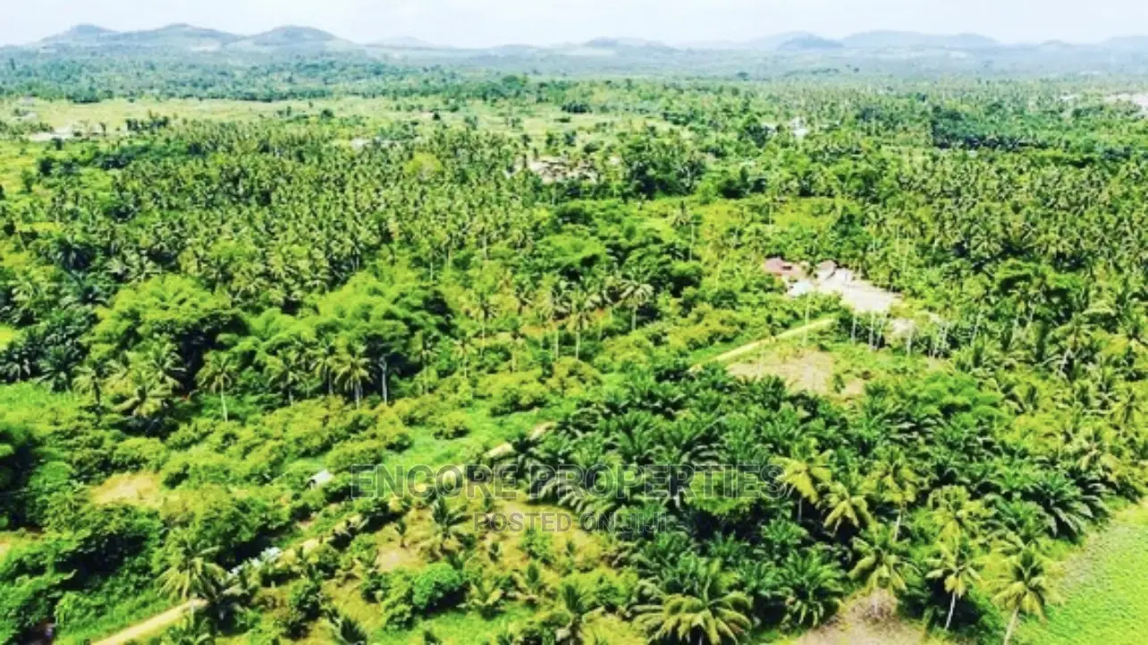 100,000 + Acres Farm Land Now Selling in Kintampo South