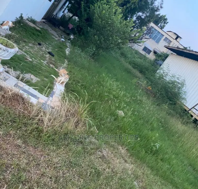 0.20 Acre Land at Adjirigarnor in Adjiriganor