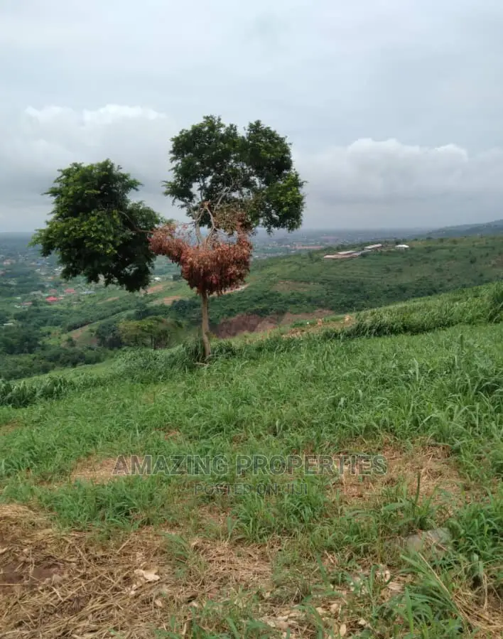 5 Acres of Roadside Land Along Tema-Ashaiman Highway in Tema Metropolitan