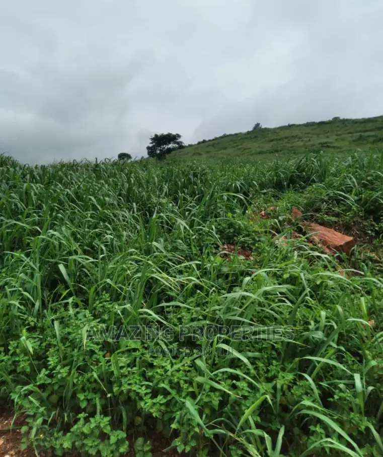 One Plot of Mixed Use Land for Sale at Madina in Madina