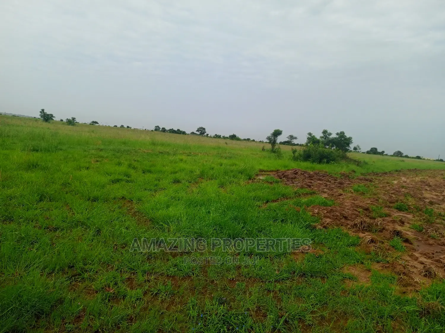 4.09 Acre Land Warehouse and Offices Tema Industrial Area in Tema Metropolitan