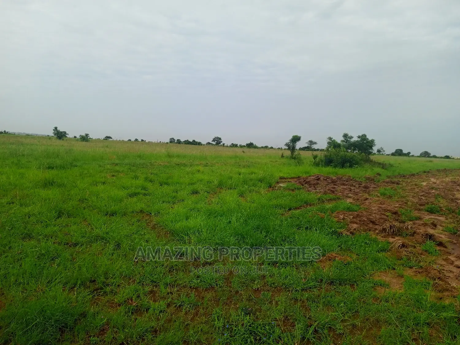 4.09 Acre Land Warehouse and Offices Tema Industrial Area in Tema Metropolitan