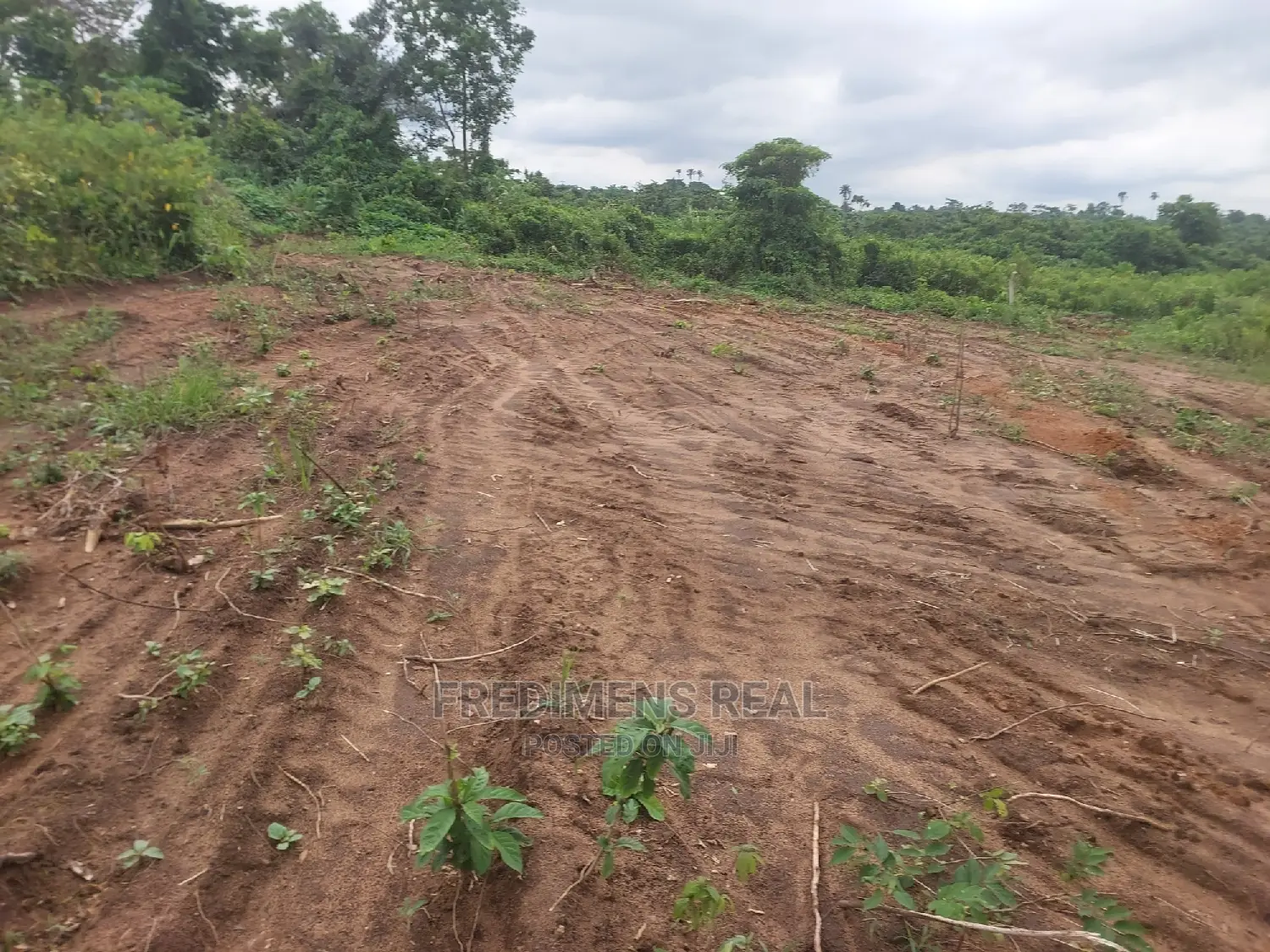 A Land at Bonwire for Sale in Kumasi Metropolitan