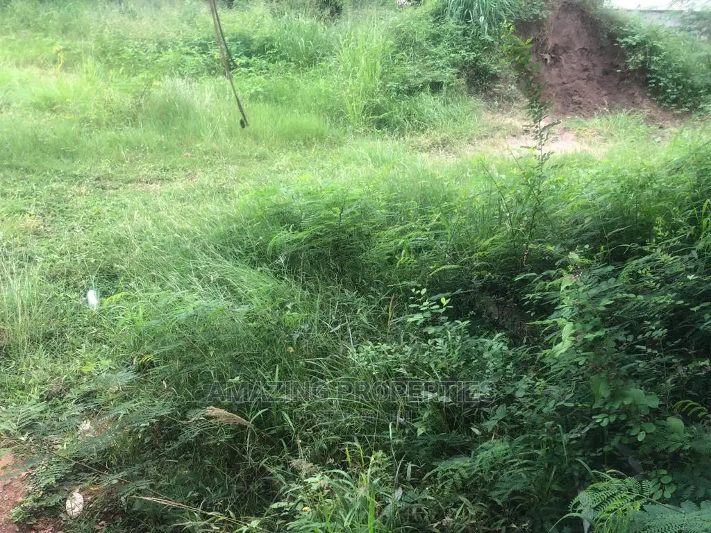 0. 427 Acre in Airport Residential Around Koala in Airport Residential Area