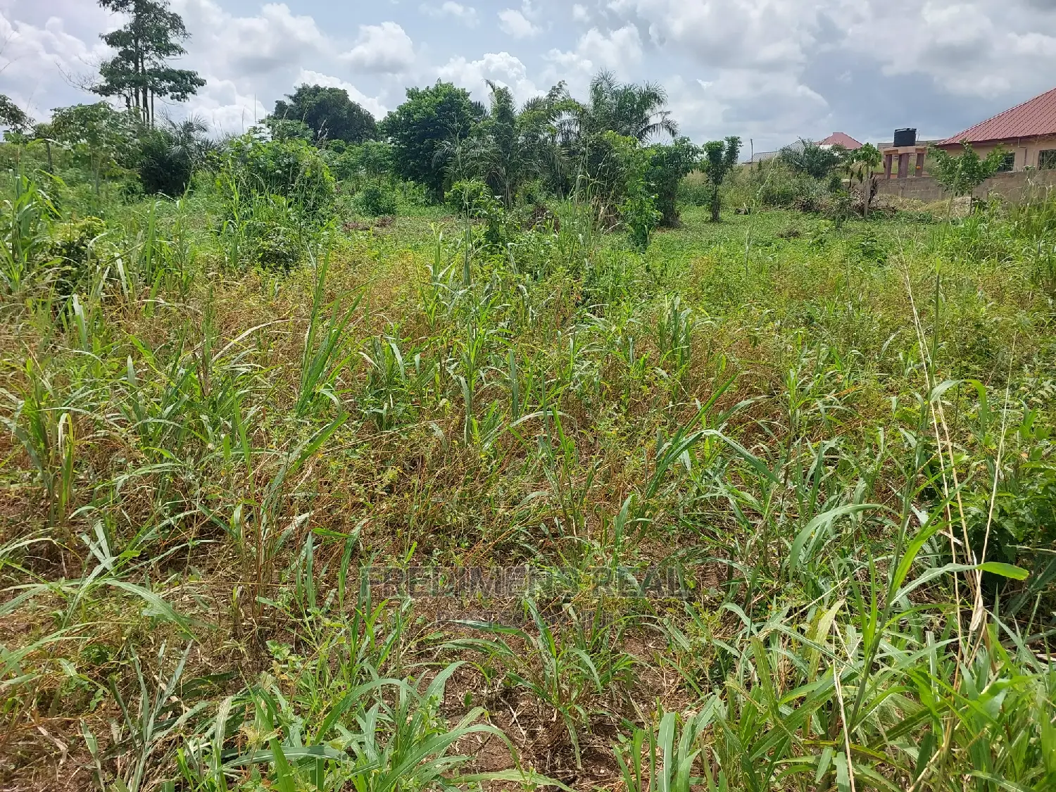 A Land at Ejisu-Krapa for Sale in Kumasi Metropolitan
