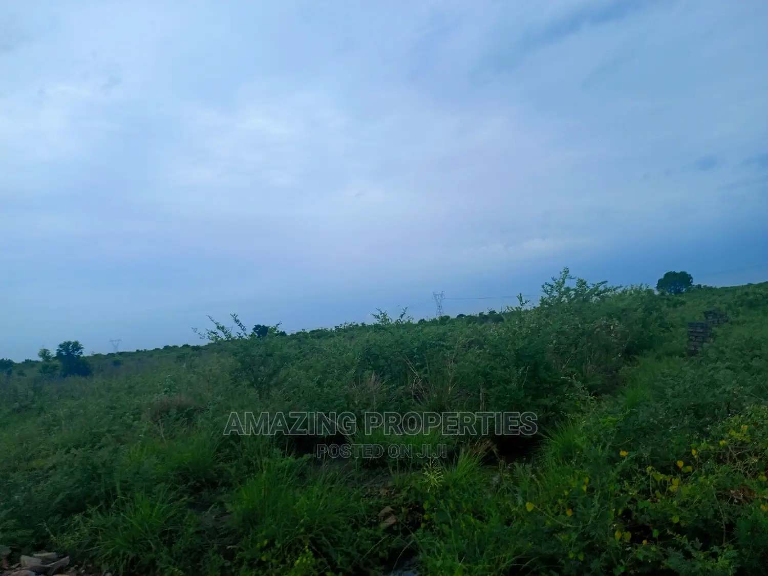 6,000 Acres of Farmland for Sale at Asamankese Quarshie in East Akim Municipal