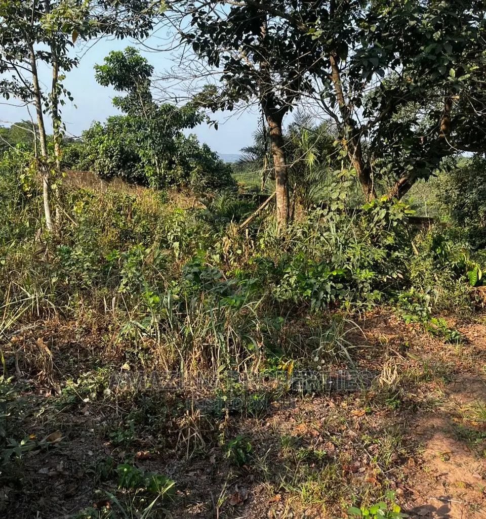 14 Acres of Land at Aburi in Aburi