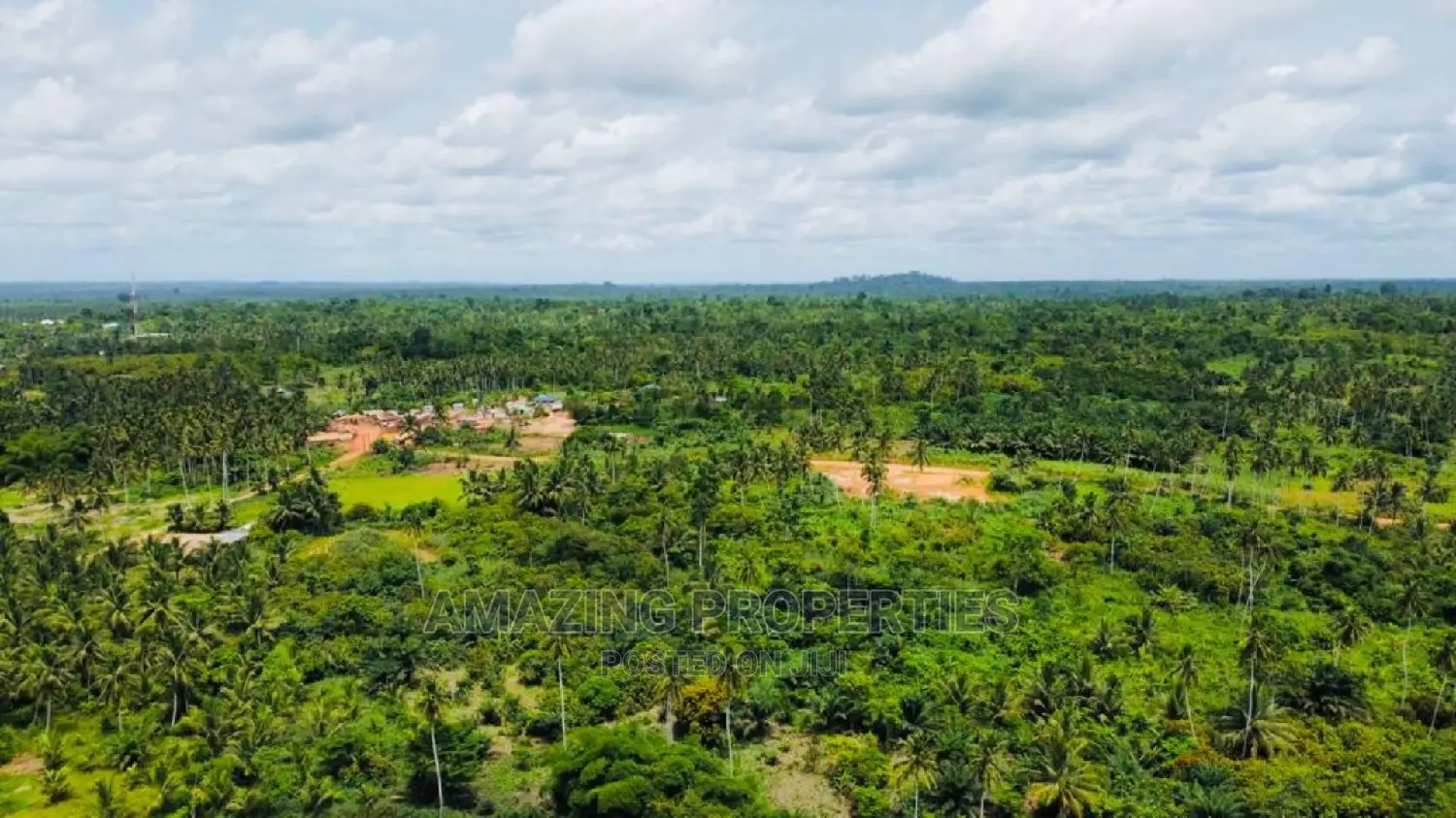150 Acres of Land at Esusu in Agona East