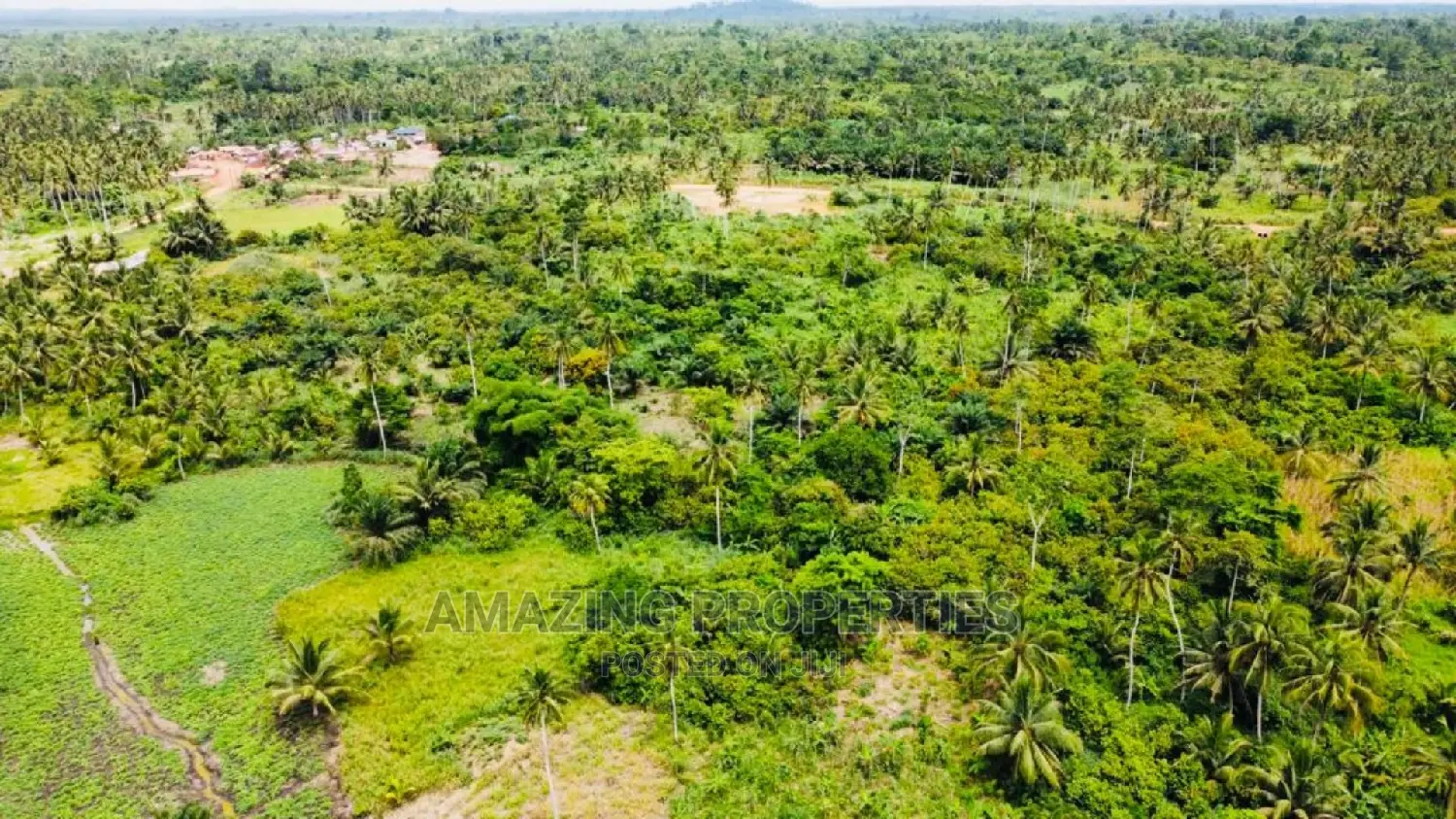 150 Acres of Land at Esusu in Agona East