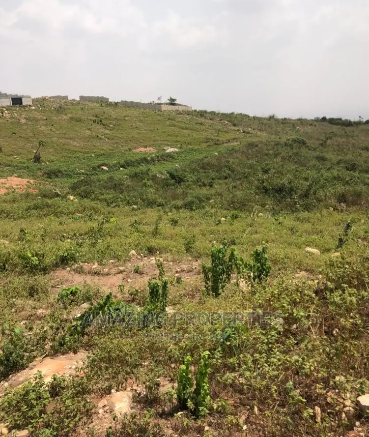 40 Acres of Land at Ayikuma in Dodowa