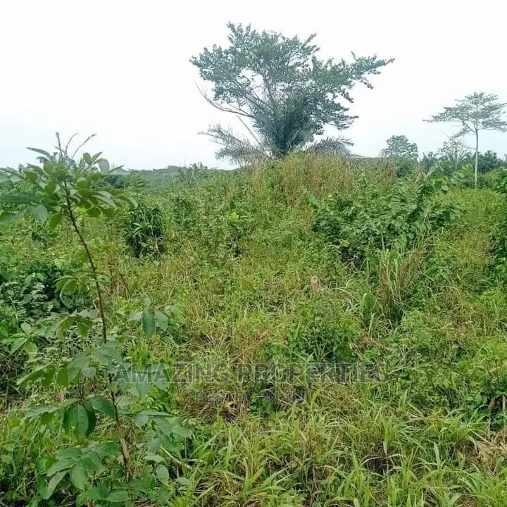 5000 Acres Of Farmland For Sale At Ekumfi in Ekumfi