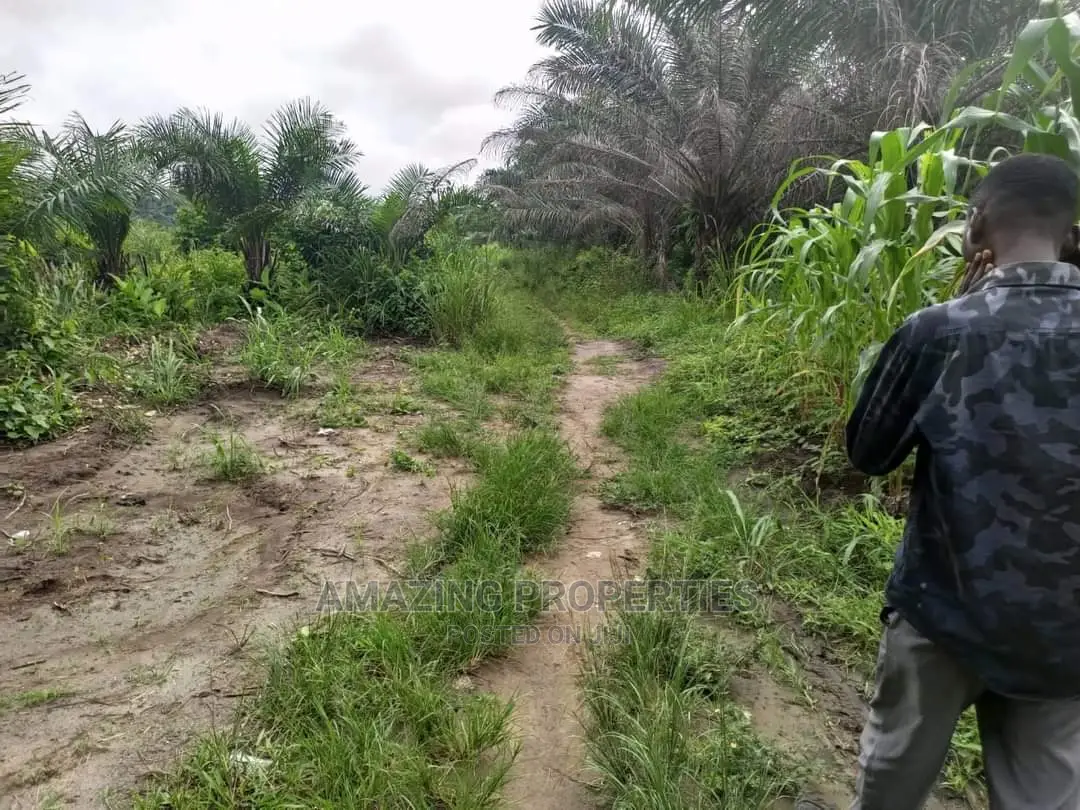 1000 Acres of Land for Sale at Papase in Kasoa