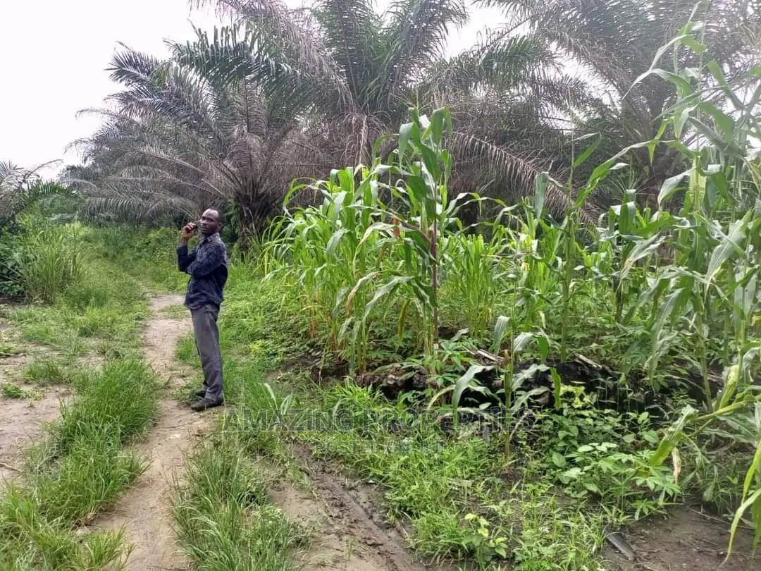 1000 Acres of Land for Sale at Papase in Kasoa