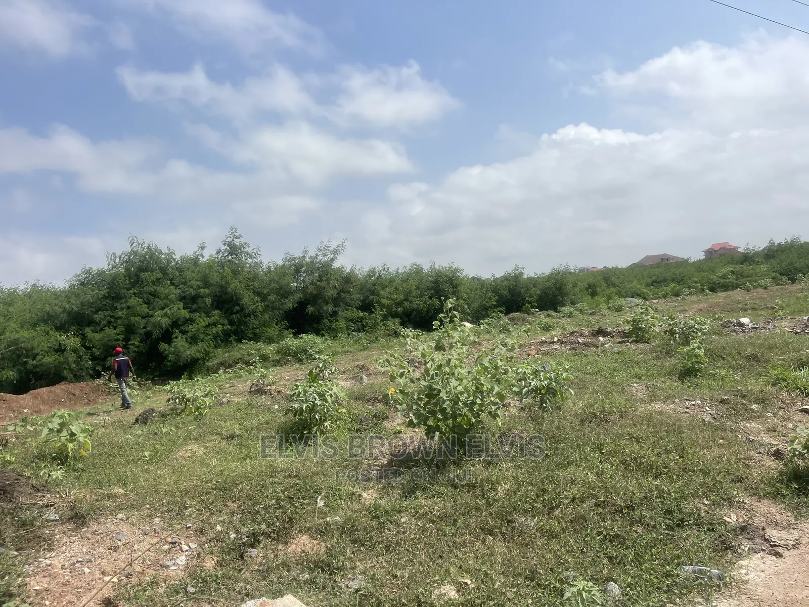 Do You Want to Buy a Plot of Land Very Close to E Motoway in East Legon