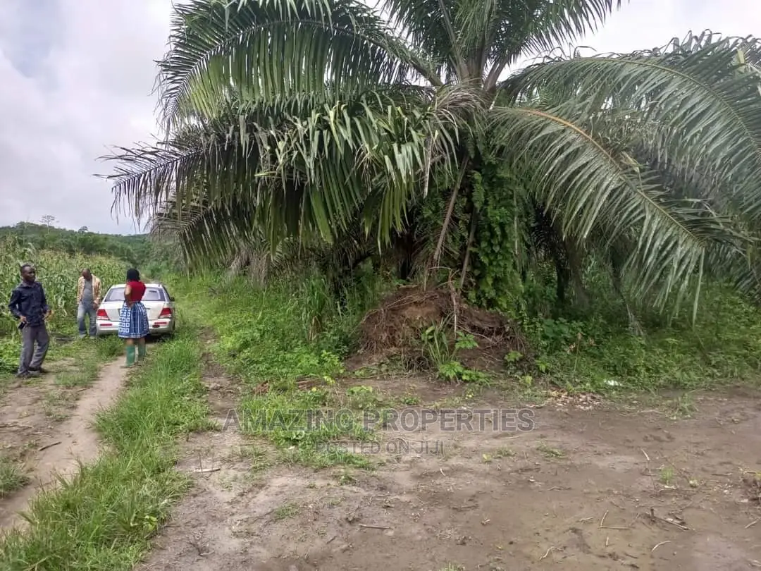 8.60acres of Land for Sale at Airport Residential Area in Airport Residential Area