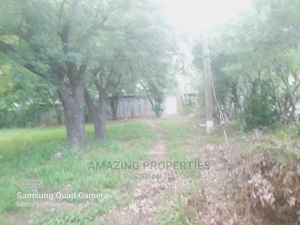 One Acre Bare Land at North Ridge for Sale in Ridge