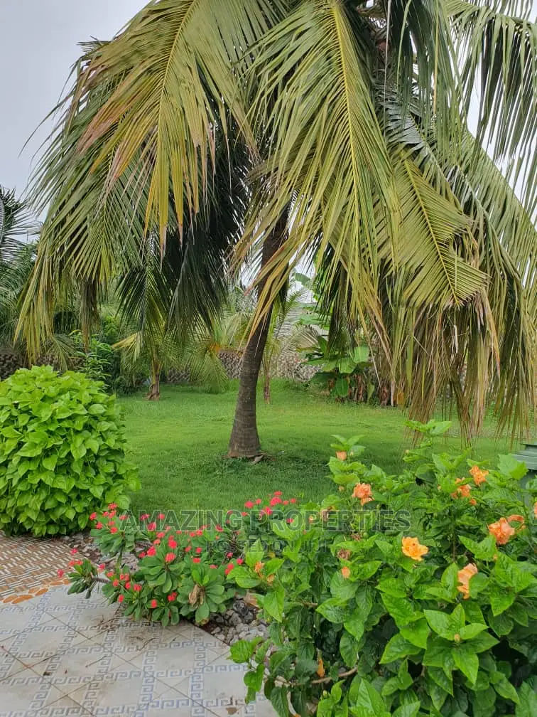 One Acre Bare Land at North Ridge for Sale in Ridge