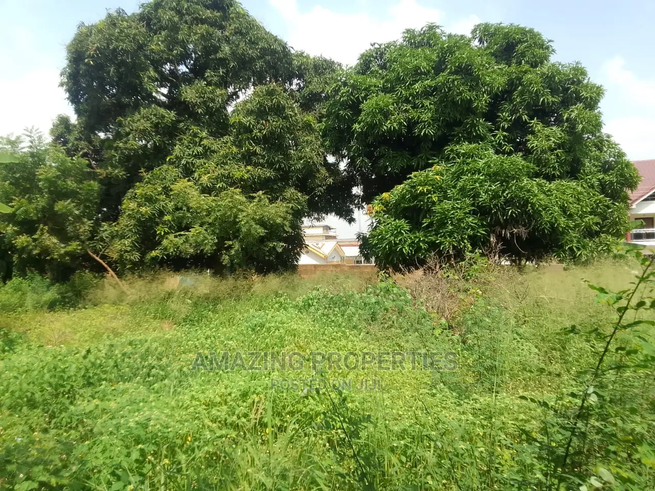 6.33 Acres Of Roadside Land Available For Sale At Cantonment in Cantonments