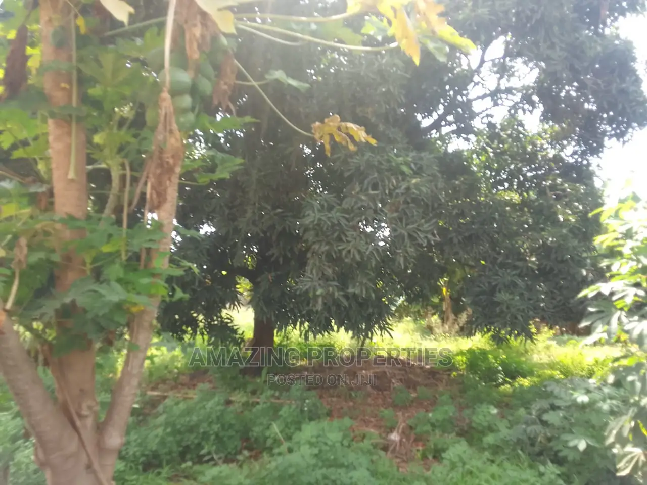 6.33 Acres Of Roadside Land Available For Sale At Cantonment in Cantonments