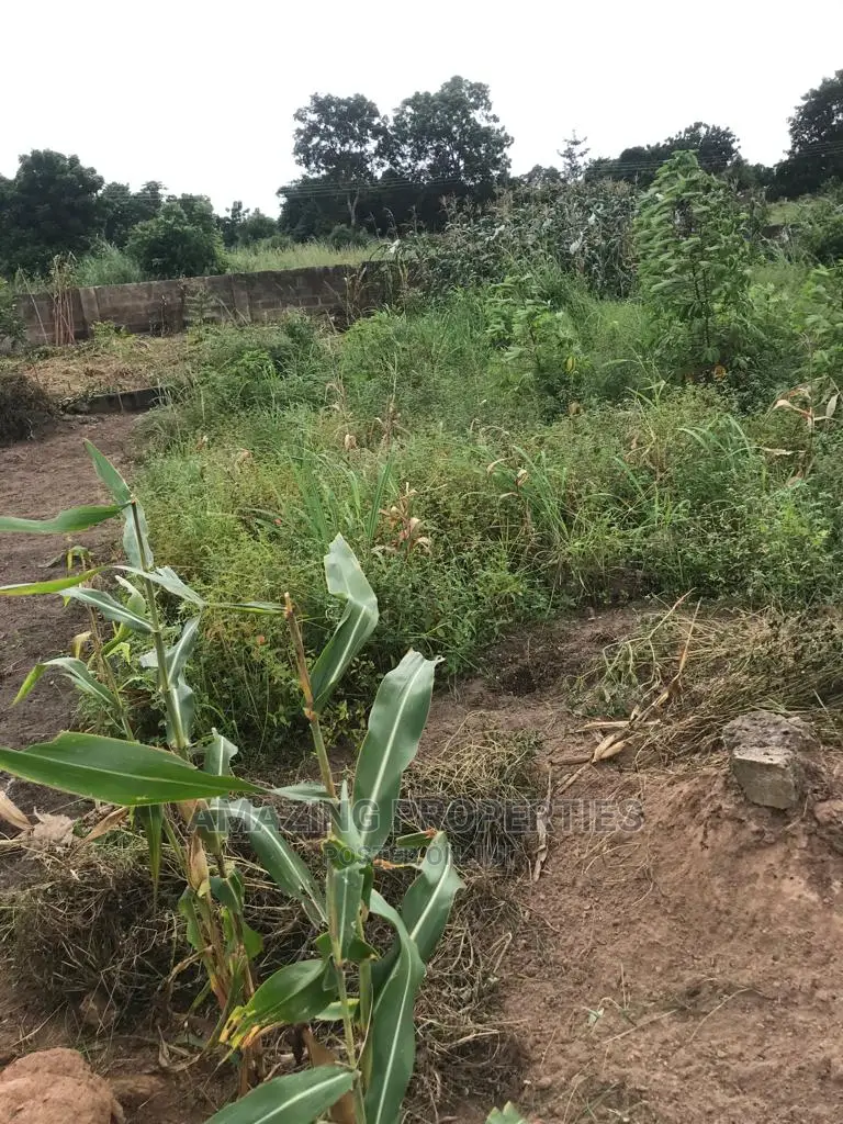 17 Acres of Bare Land for Sale at Burma Camp in Burma Camp