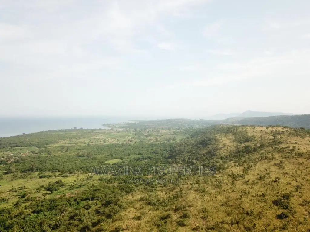 Acres of Land for Sale at Gyakiti in Asuogyaman