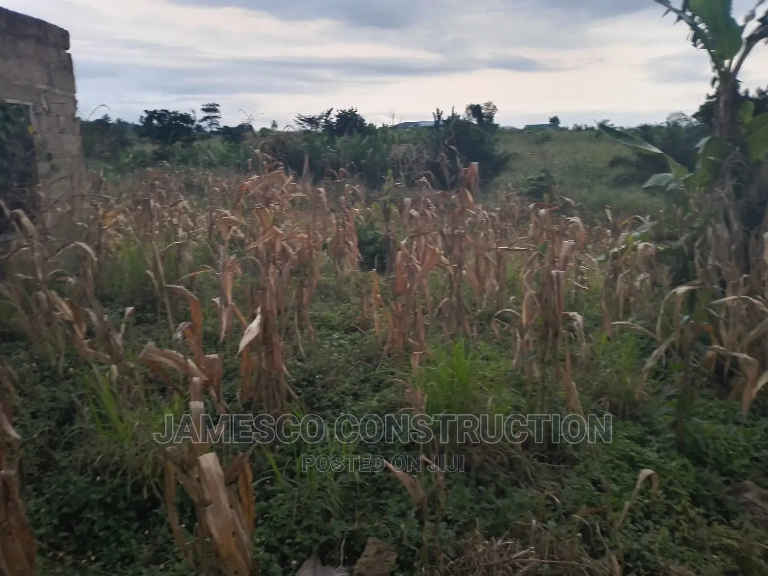 Acres of Residential Land for Sale Documents Available. in Ayensuano