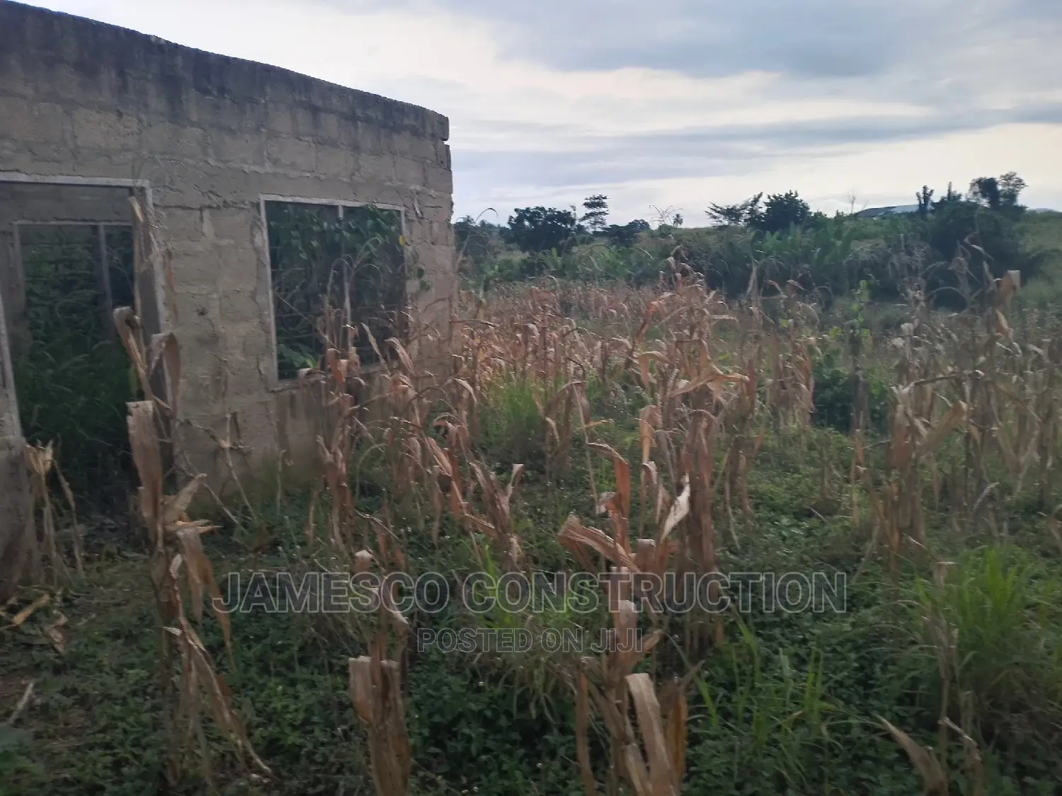 Acres of Residential Land for Sale Documents Available. in Ayensuano