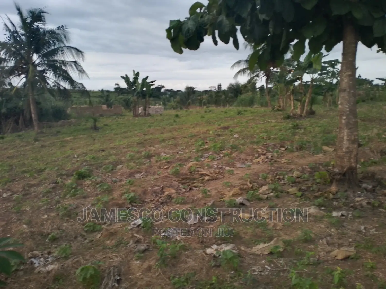 Acres of Residential Land for Sale Documents Available. in Ayensuano