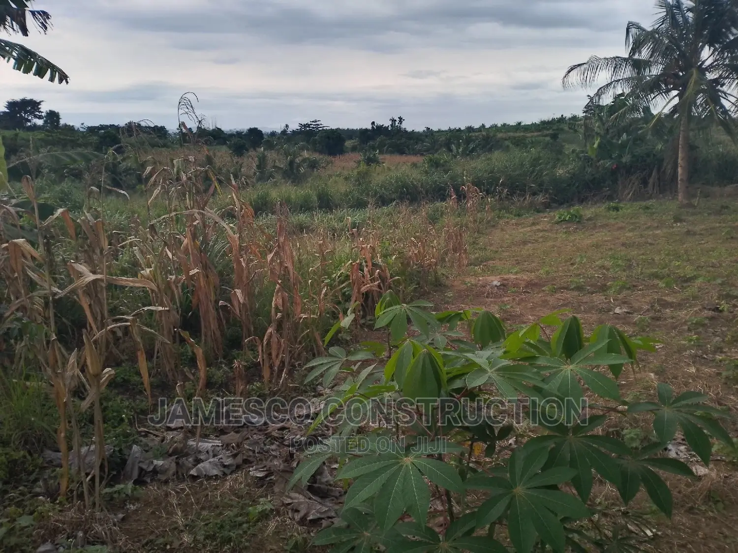 Acres of Residential Land for Sale Documents Available. in Ayensuano