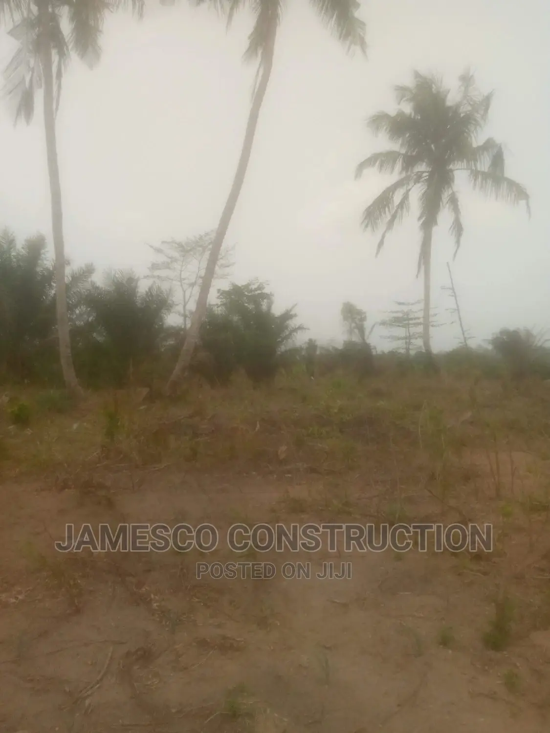 Registered Farmland for Sales Documents Available in Ayensuano
