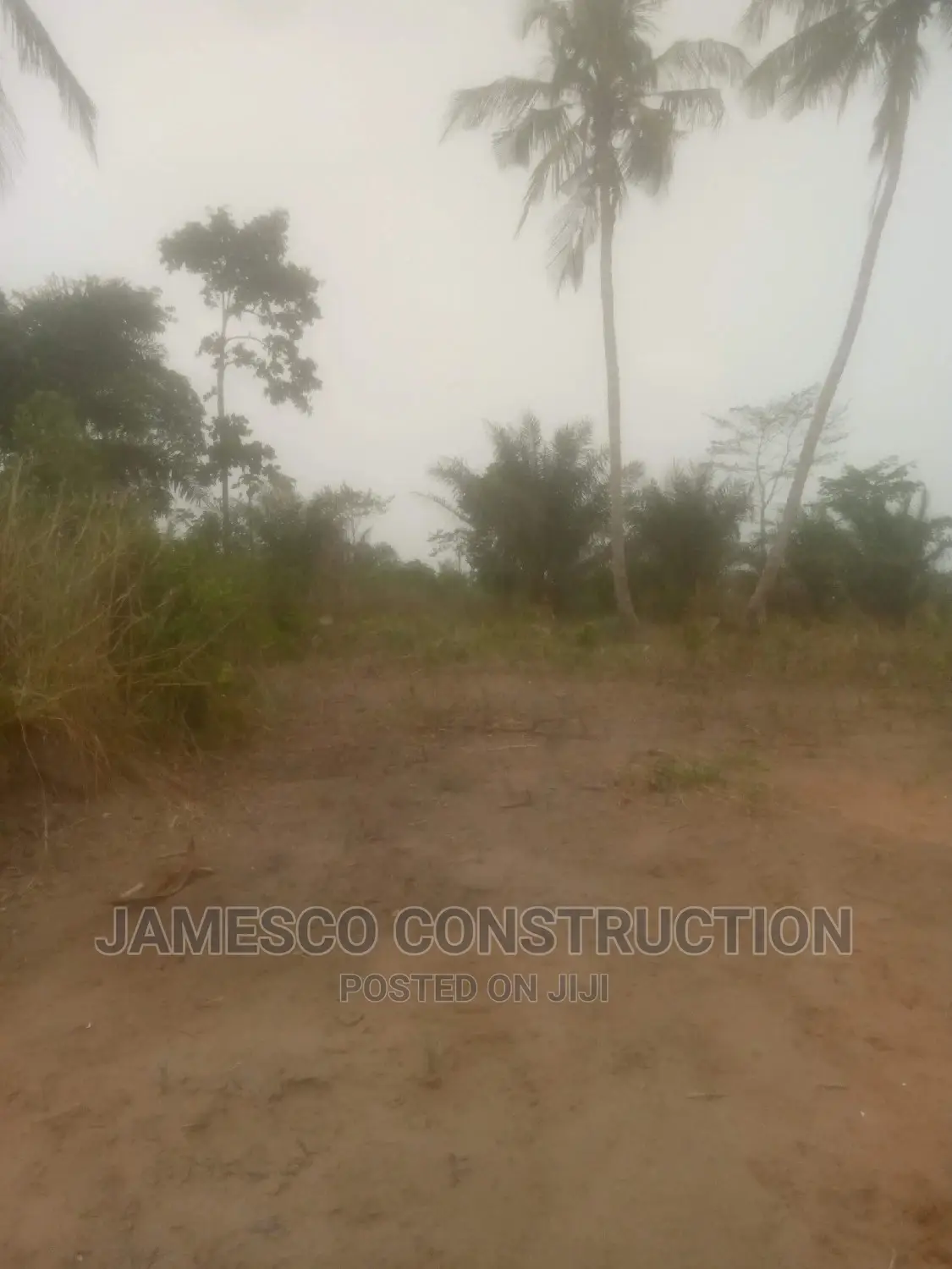 Registered Farmland for Sales Documents Available in Ayensuano