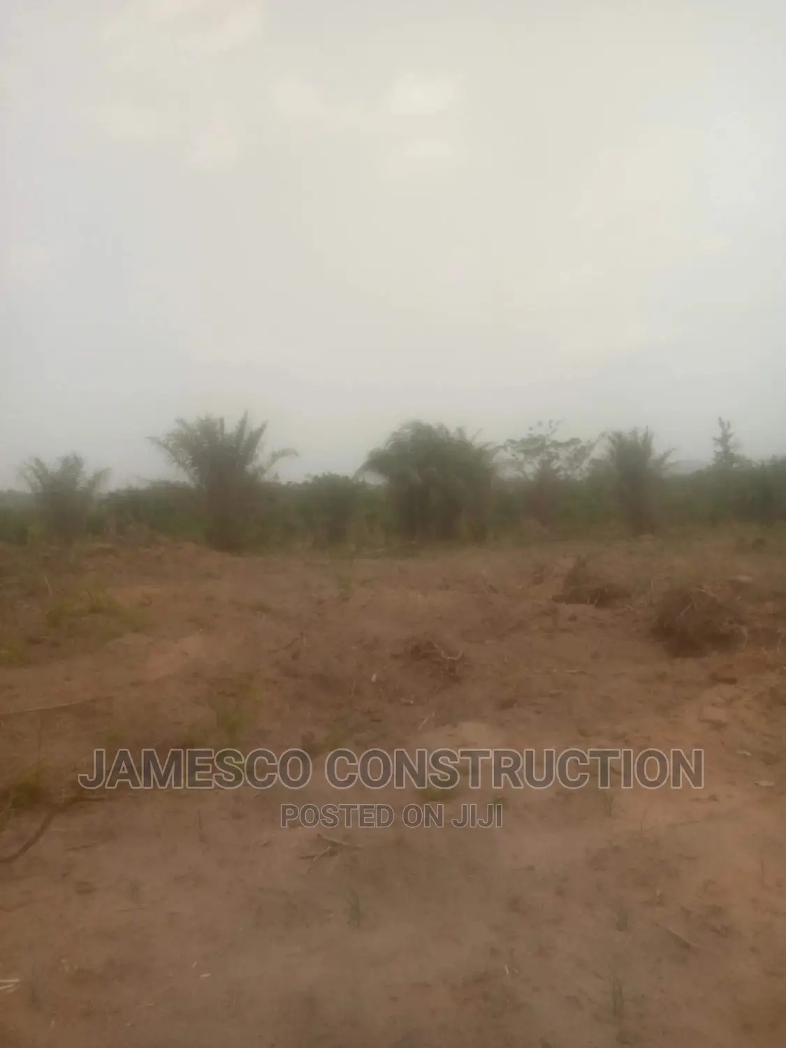 Registered Farmland for Sales Documents Available in Ayensuano
