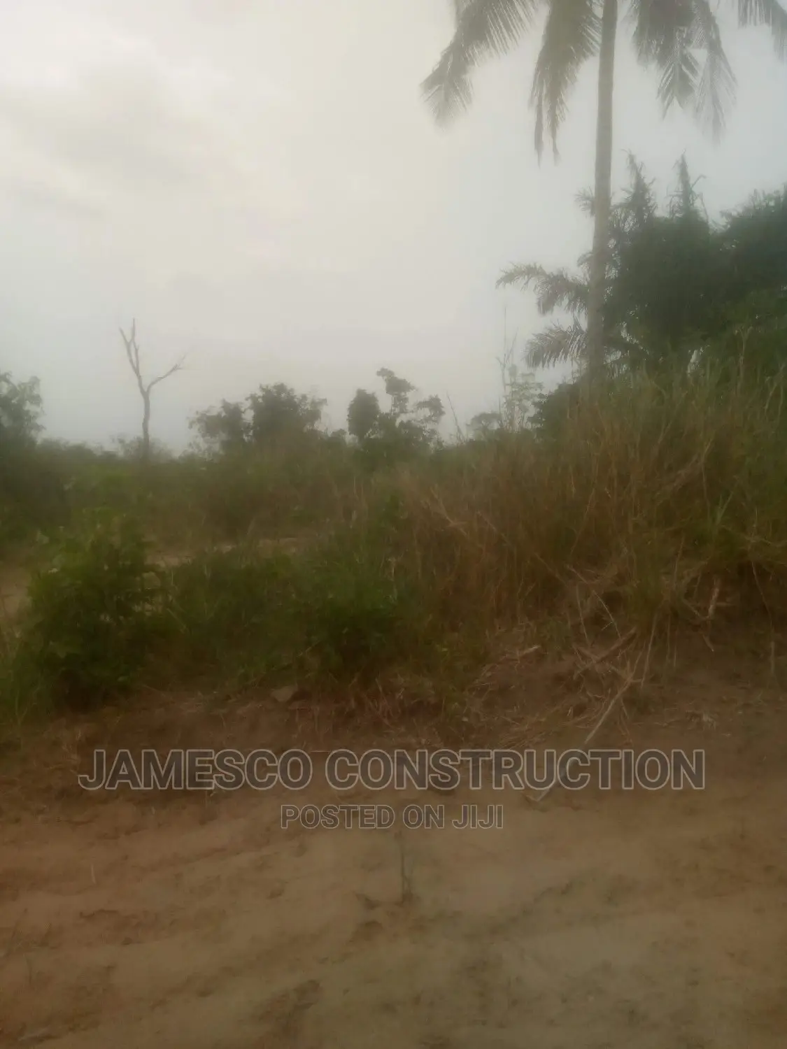 Registered Farmland for Sales Documents Available in Ayensuano