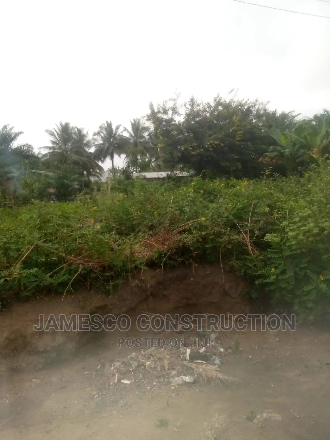 One Plot of Land Sale Documents Available. in Ayensuano