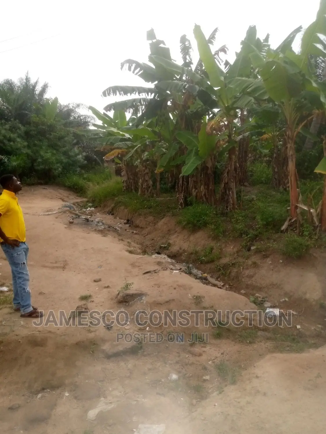 One Plot of Land Sale Documents Available. in Ayensuano