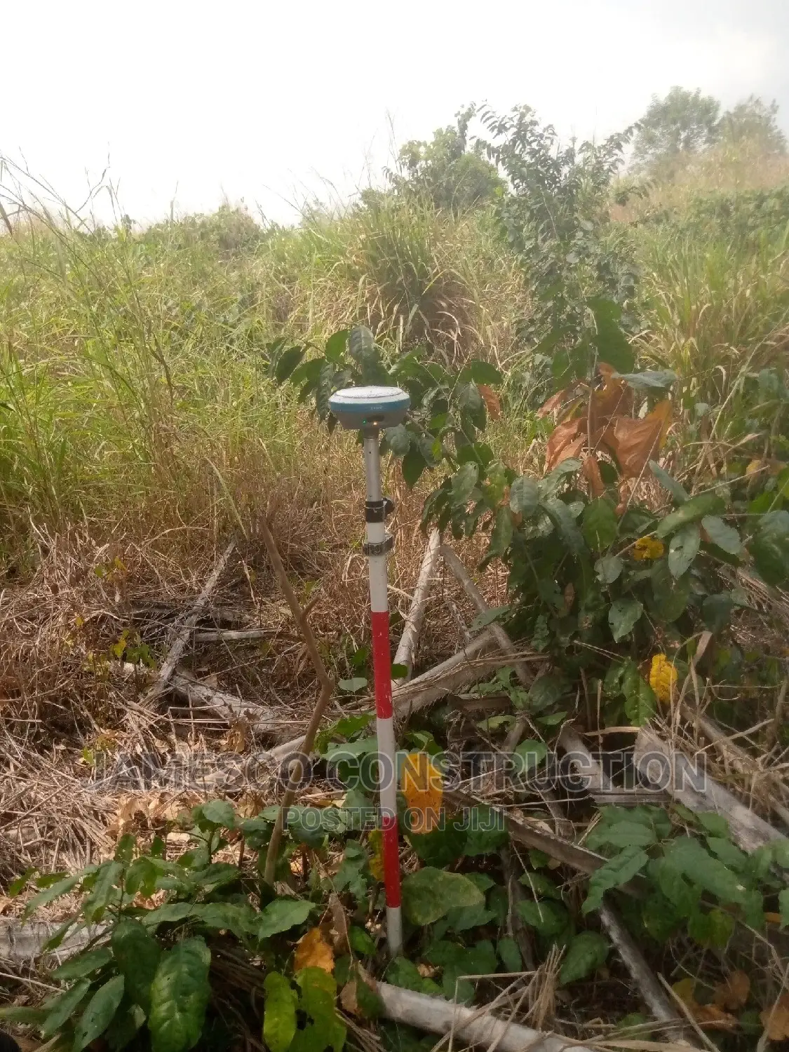 356 Acres of Registered Land for Sale. in Ayensuano