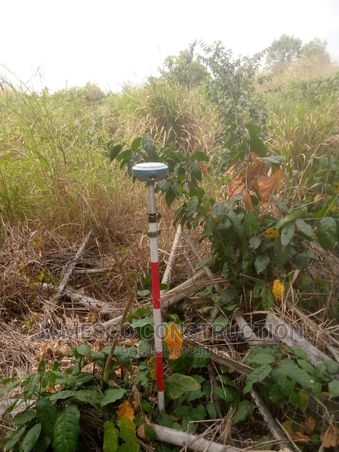 356 Acres of Registered Land for Sale. in Ayensuano